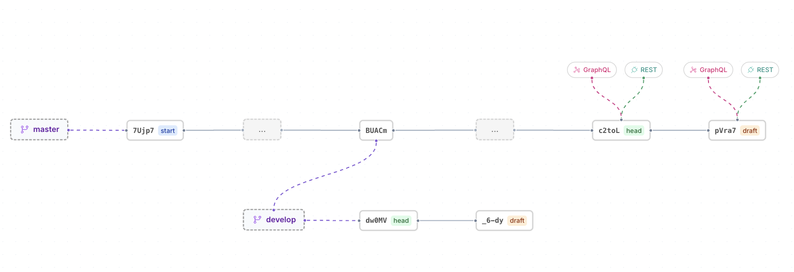 Branch Map — branches, revisions, and API endpoints